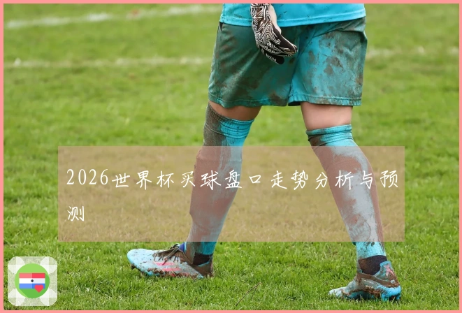 2026世界杯买球盘口走势分析与预测
