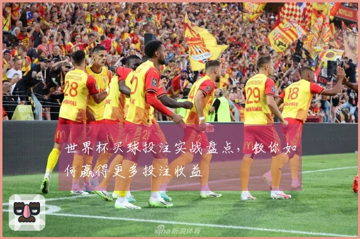 世界杯买球投注实战盘点，教你如何赢得更多投注收益