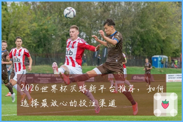 2026世界杯买球新平台推荐，如何选择最放心的投注渠道