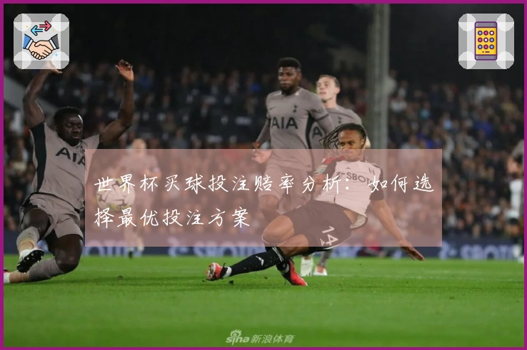 世界杯买球投注赔率分析：如何选择最优投注方案