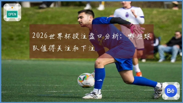 2026世界杯投注盘口分析：哪些球队值得关注和下注