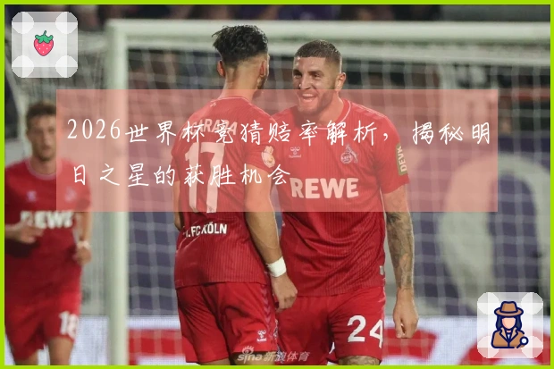 2026世界杯竞猜赔率解析，揭秘明日之星的获胜机会
