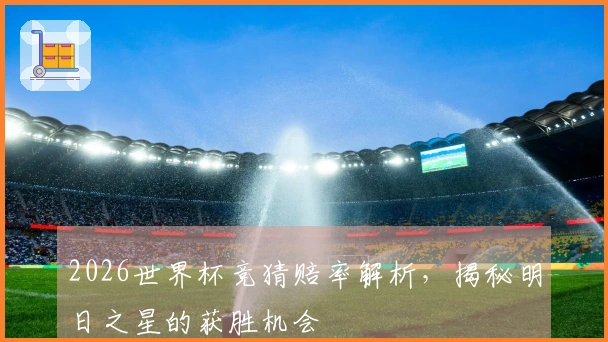 2026世界杯竞猜赔率解析，揭秘明日之星的获胜机会